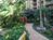 ResortQuest Kaanapali Shores::ZoomAndGo