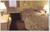 Broadway Inn Conference Center Missoula::Orbitz