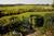 Goodstone Inn And Estate The::ProfessionalTravelGuide.com