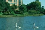 Sheraton Columbia Hotel