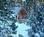 Shinneyboo Creek Cabins::BedAndBreakfast.com