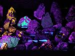 The Rock Garden