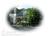 Montgomery Inn::BedAndBreakfast.com