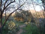 Miraval Life In Balance