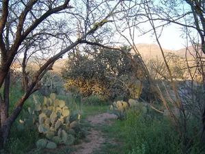 Web-2933021-hiking_at_miraval-tucson