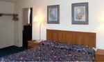 Tn-k82753_room_01_e