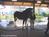 Sea World San Antonio::ThemeParksOnline