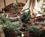 Holiday Inn Waterbury::ProfessionalTravelGuide.com
