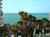 Pelican Pointe Resort::Hotels.com