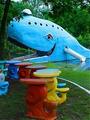 Blue Whale