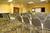 Ramada Limited Metairie::Expedia