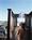 The Carneros Spa from Priceline.com