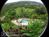 Marjorie's Kauai Inn::BedAndBreakfast.com