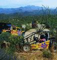 Hummer Night Tour in the Sonoran Desert
