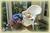 English Meadows Inn::BedAndBreakfast.com