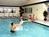 Best Western Inn And Suites Of Castle Rock::Priceline.com
