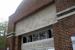 Prospect Park Zoo::Wallyg's Flickr
