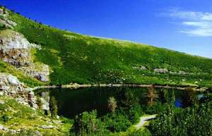 Web-angellake