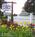 Harbor Breeze Bed & Breakfast::BedAndBreakfast.com