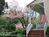 The Lost Dog Bed & Breakfast::BedAndBreakfast.com