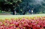 Gulf State Park