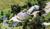 The Inn at Round Barn Farm::BedAndBreakfast.com