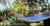 Adventure in Paradise::BedAndBreakfast.com