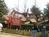 Busch Gardens Williamsburg::ThrillNetwork.com