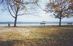 Tn-norwalkcalfpasturebeach