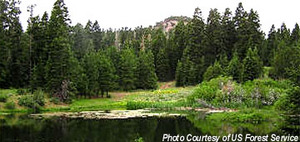Web-stowereservoir-picture