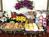 Best Western Denton Inn & Suites::Orbitz