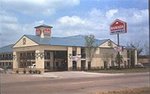 Executive Inn