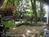 William's Grant Inn B::BedAndBreakfast.com