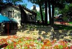 Marsh Ridge Resort
