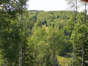 Eagle Ridge Resort At Lutsen Mountains::TripAdvisor