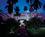 Boca Raton Resort and Club from Expedia
