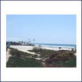 Tn-delamrbeach5_th