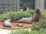 Seymour Marine Discovery Center::Qingd
