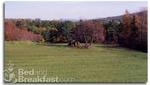 Kirriemuir Heights Bed and Breakfast