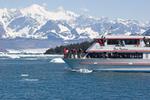 STAN STEPHENS GLACIER & WILDLIFE CRUISES::Anchorage.net