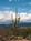 Alta Vista Bed & Breakfast Inn::BedAndBreakfast.com
