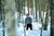 The Lodge at Bretton Woods::ProfessionalTravelGuide.com