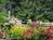 Harbor Breeze Bed & Breakfast::BedAndBreakfast.com