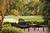 Innisbrook Resort and Golf Club::Expedia