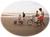Kiawah Island from Beachwalker.com