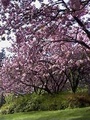 Washington Park