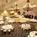Marriott Fort Wayne::Expedia