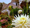 Historic Deepwood Estate