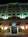 Courtyard by Marriott Norfolk Downtown from Hotels.com