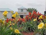 Quality Inn East
